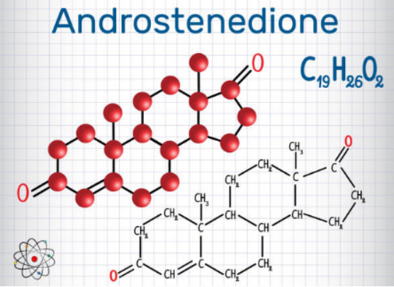 How does androstenedione affect women’s emotional experience?